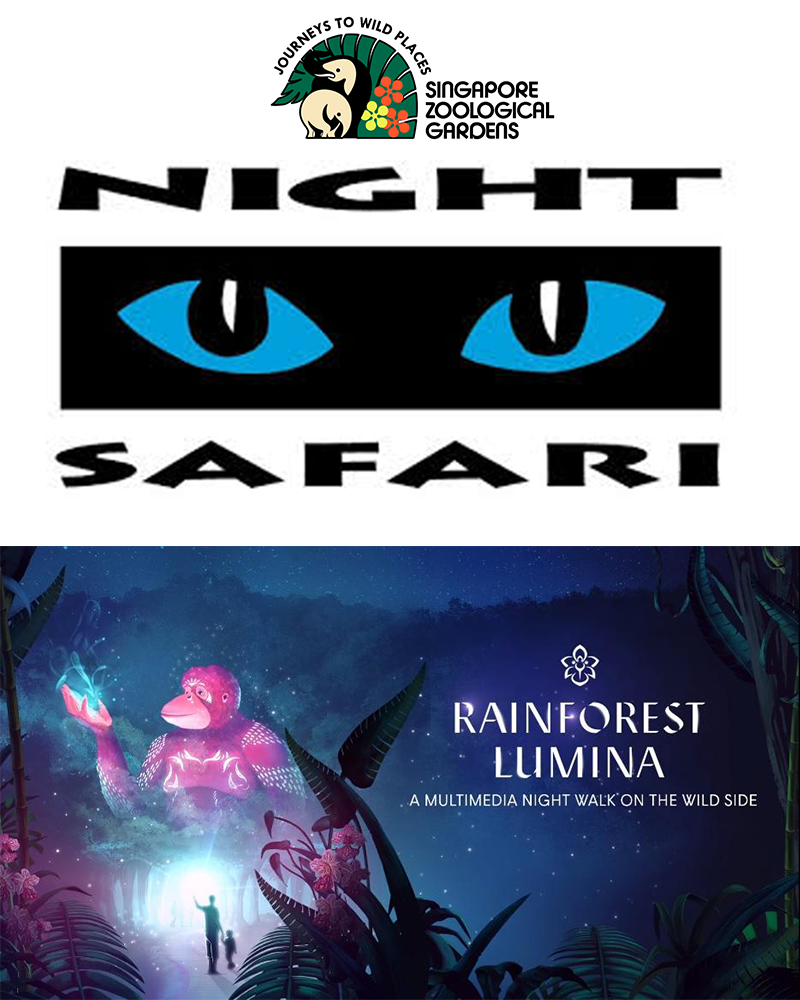 800x1000ppi safari
