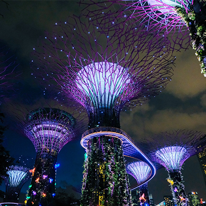 420x420 ppi_gardens by the bay